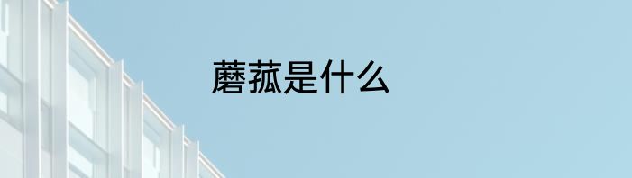 蘑菰是什么