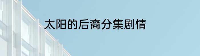 太阳的后裔分集剧情