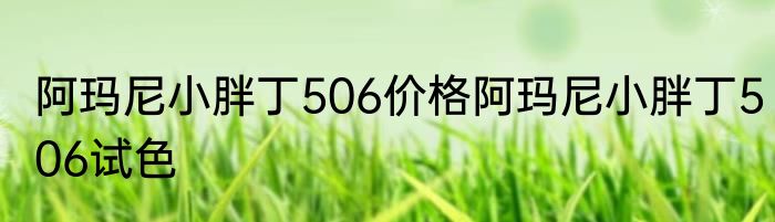 阿玛尼小胖丁506价格阿玛尼小胖丁506试色