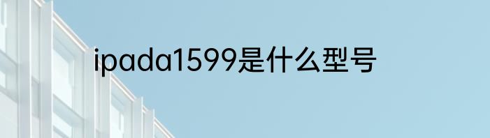 ipada1599是什么型号