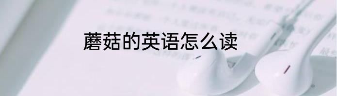 蘑菇的英语怎么读