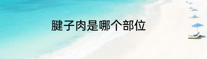 腱子肉是哪个部位