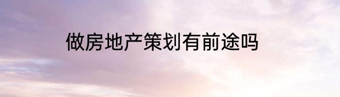 做房地产策划有前途吗
