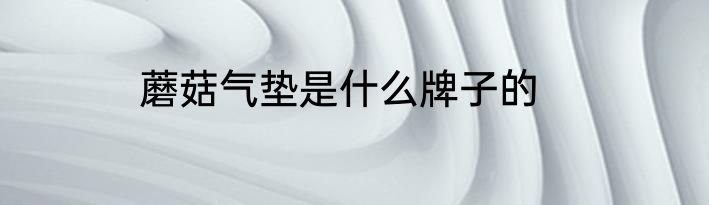 蘑菇气垫是什么牌子的