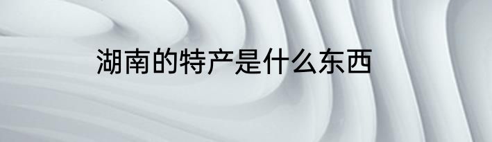 湖南的特产是什么东西