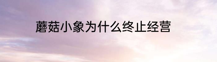 蘑菇小象为什么终止经营
