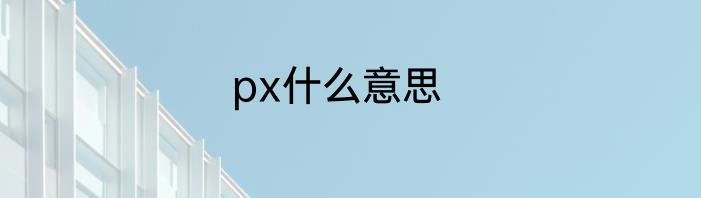 px什么意思
