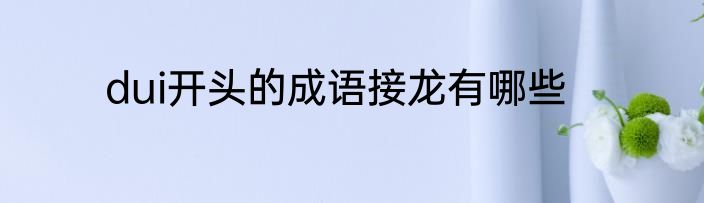 dui开头的成语接龙有哪些
