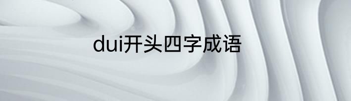 dui开头四字成语