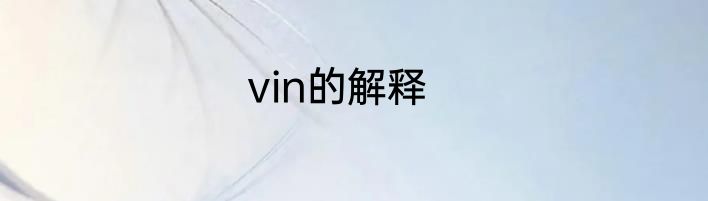 vin的解释
