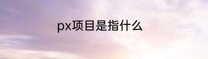 px项目是指什么