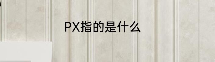 PX指的是什么