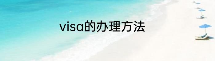 visa的办理方法