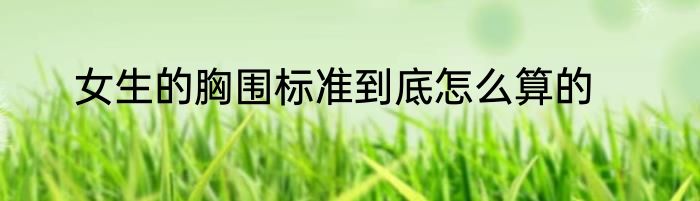 女生的胸围标准到底怎么算的