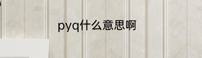 pyq什么意思啊