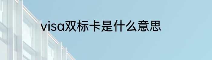 visa双标卡是什么意思