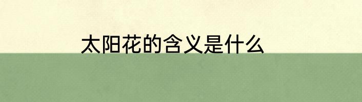 太阳花的含义是什么