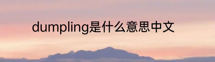 dumpling是什么意思中文