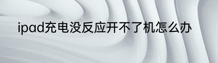 ipad充电没反应开不了机怎么办