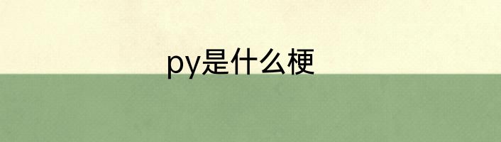 py是什么梗