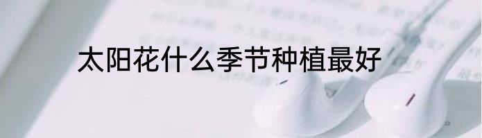 太阳花什么季节种植最好