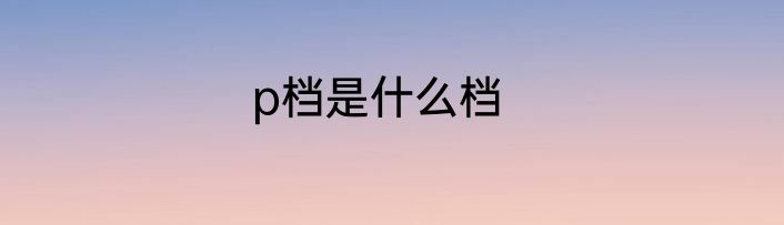 p档是什么档