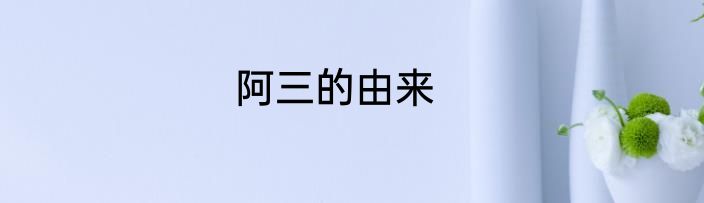 阿三的由来