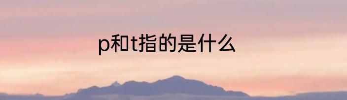 p和t指的是什么