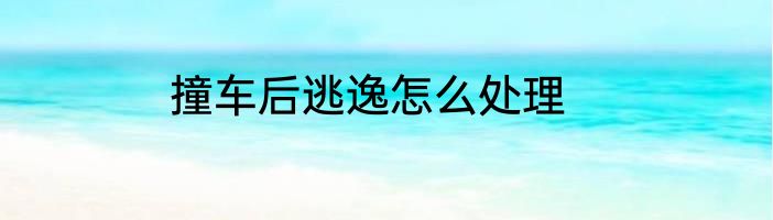 撞车后逃逸怎么处理