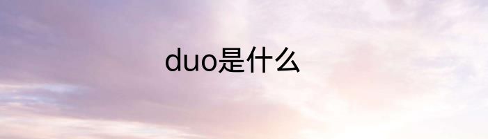 duo是什么
