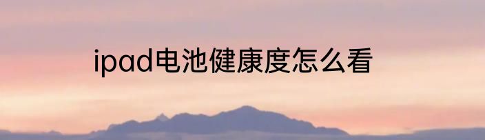 ipad电池健康度怎么看