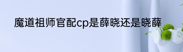 魔道祖师官配cp是薛晓还是晓薛