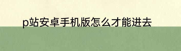 p站安卓手机版怎么才能进去
