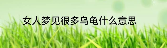 女人梦见很多乌龟什么意思