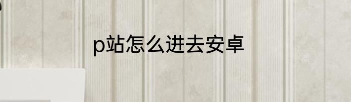 p站怎么进去安卓