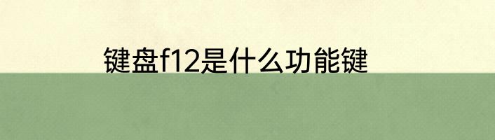 键盘f12是什么功能键