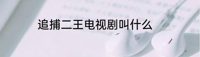 追捕二王电视剧叫什么
