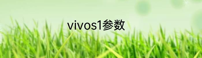 vivos1参数