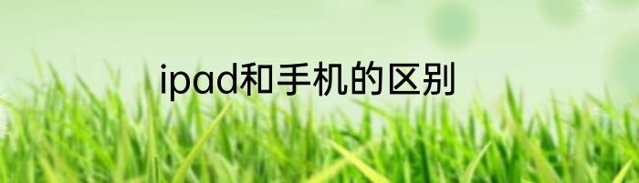 ipad和手机的区别