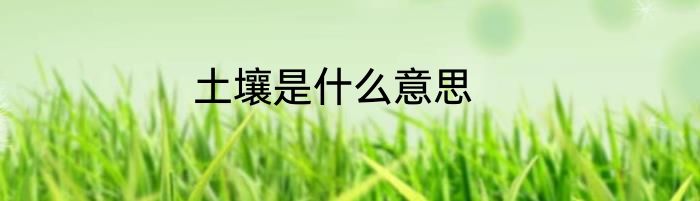 土壤是什么意思