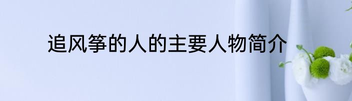 追风筝的人的主要人物简介