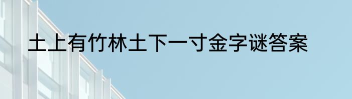 土上有竹林土下一寸金字谜答案