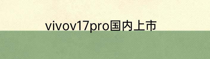 vivov17pro国内上市