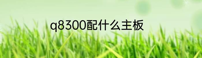 q8300配什么主板