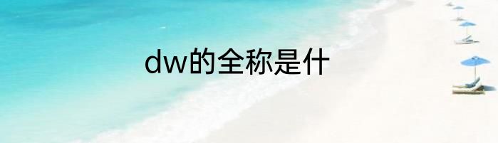 dw的全称是什