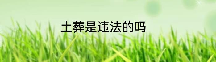 土葬是违法的吗