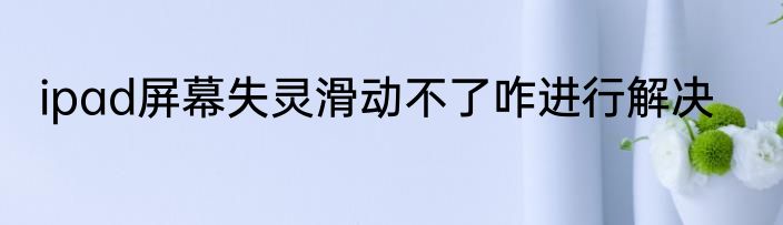 ipad屏幕失灵滑动不了咋进行解决