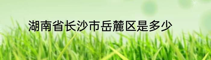 湖南省长沙市岳麓区是多少