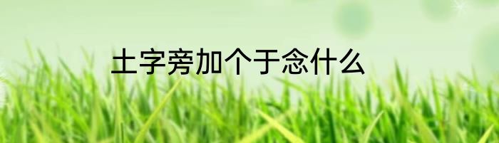 土字旁加个于念什么