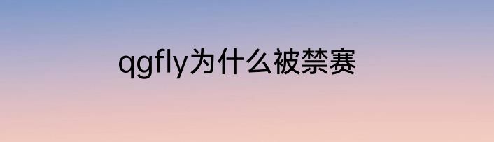 qgfly为什么被禁赛